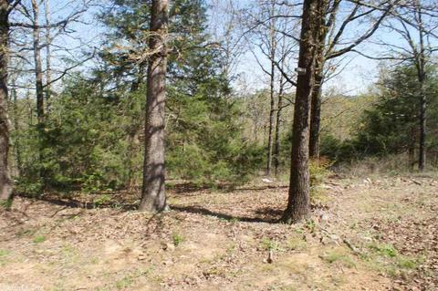 50 Crestview Rd, Conway, AR 72034 photo 27