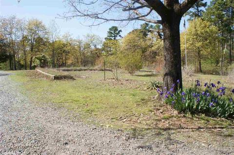 50 Crestview Rd, Conway, AR 72034 photo 23