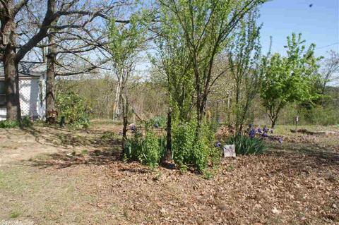 50 Crestview Rd, Conway, AR 72034 photo 26