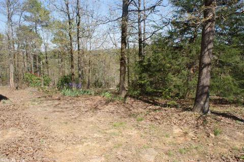 50 Crestview Rd, Conway, AR 72034 photo 28