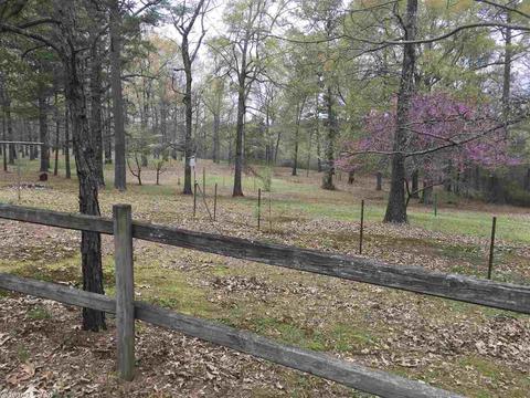 1188 E Hwy 8, Amity, AR 71921 photo 3