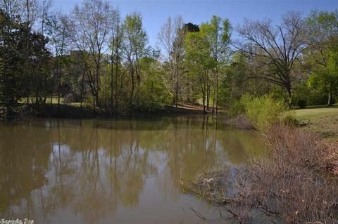 12605 Matthew Ln, Alexander, AR 72002 photo 29