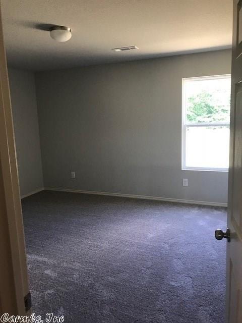 3240 Sage Grass Ln, Alexander, AR 72002 photo 4