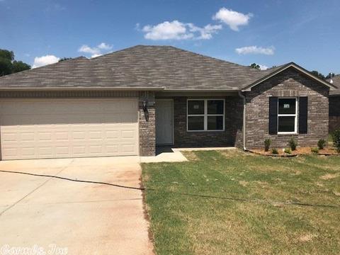 3240 Sage Grass Ln, Alexander, AR 72002 photo 1