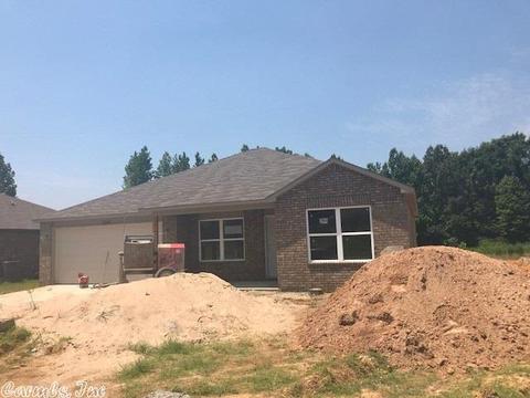 3304 Sage Grass Ln, Alexander, AR 72002 photo 1