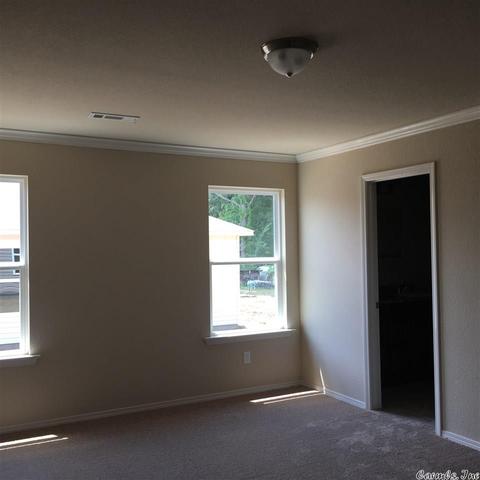 6436 Amalie Dr, Alexander, AR 72002 photo 6