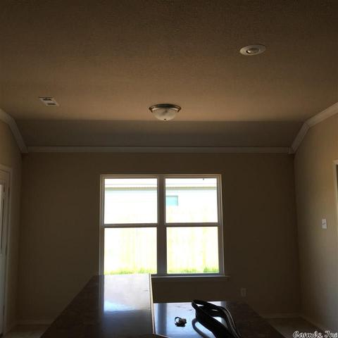 6436 Amalie Dr, Alexander, AR 72002 photo 3