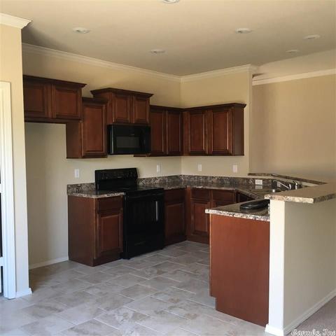 6436 Amalie Dr, Alexander, AR 72002 photo 5