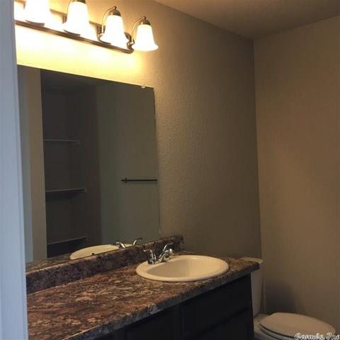6436 Amalie Dr, Alexander, AR 72002 photo 7