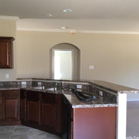 6436 Amalie Dr, Alexander, AR 72002 photo 4