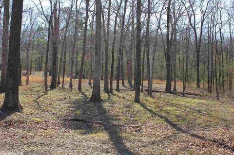 38 Bluff View Ln, Melbourne, AR 72556 photo 13
