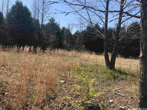 262 Thurman Wier Rd, Mcrae, AR 72102 photo 3