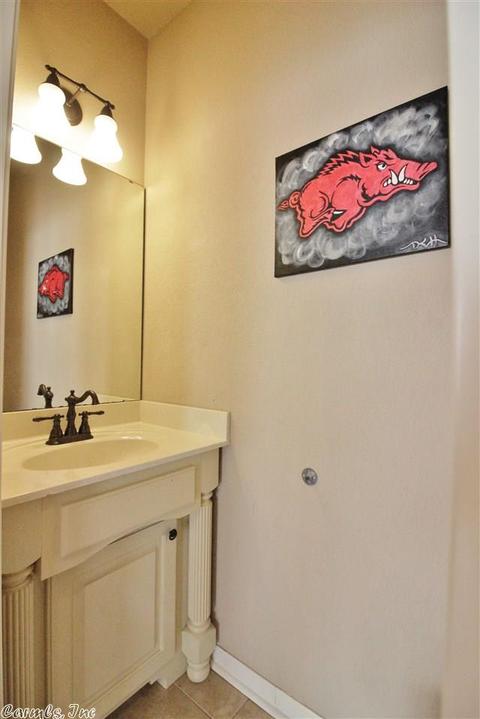 924 Miller Cv, Benton, AR 72019 photo 22