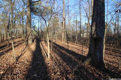 315 Oakmont Dr, Alexander, AR 72022 photo 7
