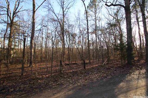 315 Oakmont Dr, Alexander, AR 72022 photo 3