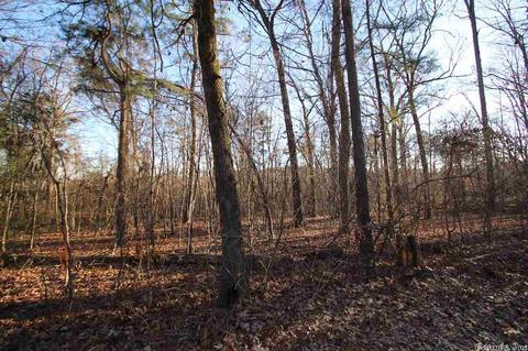 315 Oakmont Dr, Alexander, AR 72022 photo 4