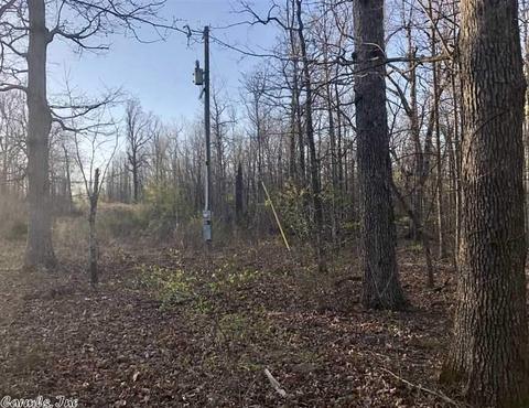 1460 Crow Dr, Marshall, AR 72650 photo 4