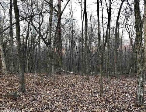1460 Crow Dr, Marshall, AR 72650 photo 12