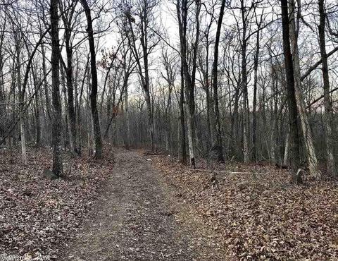 1460 Crow Dr, Marshall, AR 72650 photo 13