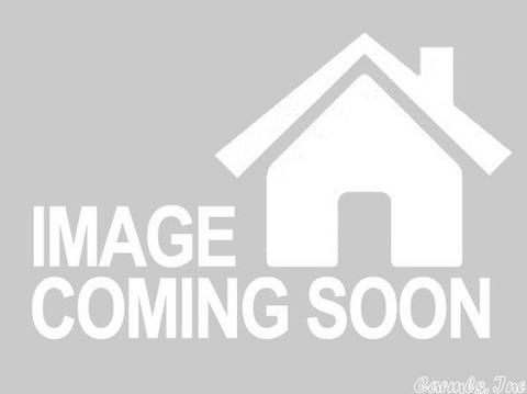 437 Dodson Creek Rd, Haskell, AR 72015 photo 1