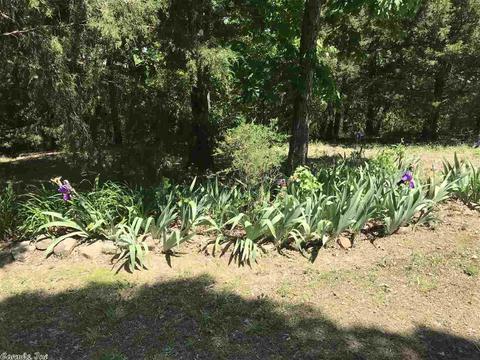 6762 Hwy 5 S, Mountain View, AR 72560 photo 16