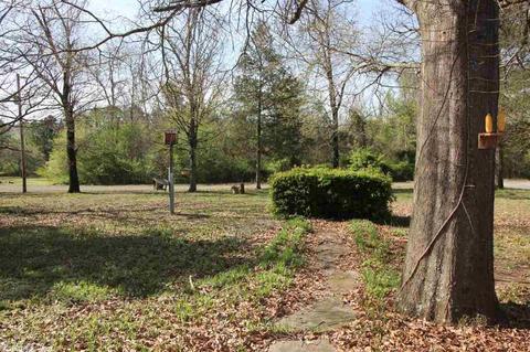 182 Morningside Dr, Clinton, AR 72031 photo 16