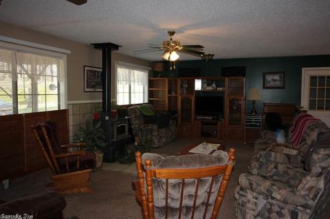 182 Morningside Dr, Clinton, AR 72031 photo 6