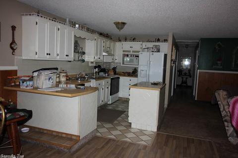 182 Morningside Dr, Clinton, AR 72031 photo 4