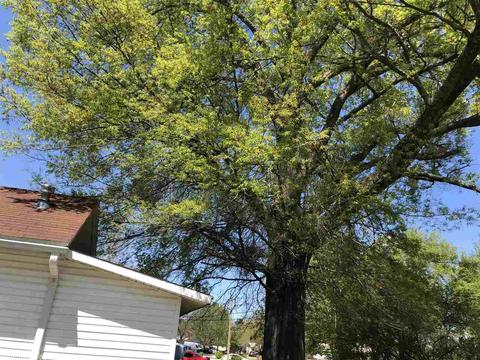 205 N Gum, Beebe, AR 72012 photo 3