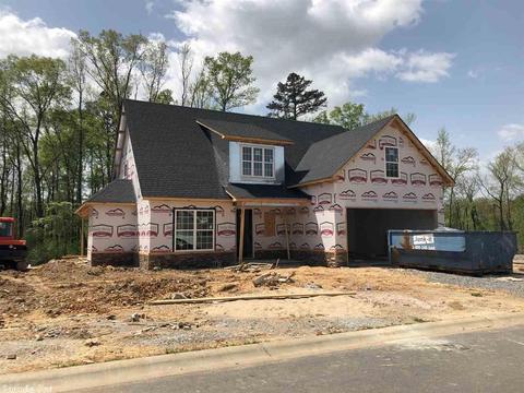 473 Windrush Pt, Alexander, AR 72002 photo 1