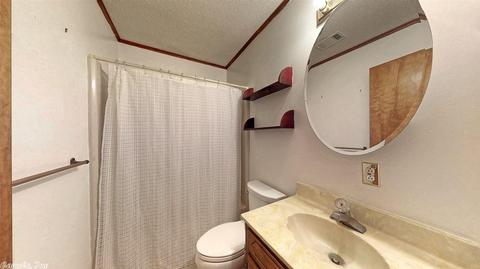 45 Pine Vly, Conway, AR 72034 photo 20