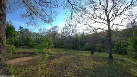 45 Pine Vly, Conway, AR 72034 photo 29