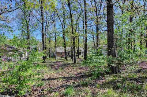 19 Sunset Ln, Cabot, AR 72023 photo 35