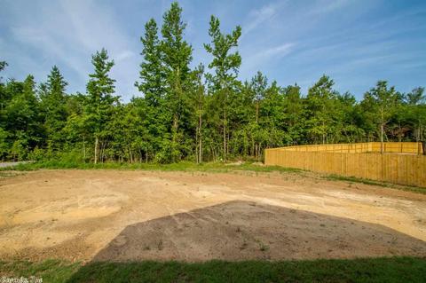 4030 Hampton Dr, Benton, AR 72019 photo 38