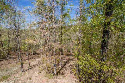 19200 Springway Dr, Alexander, AR 72002 photo 39