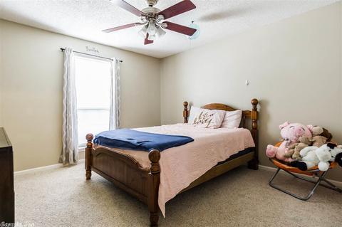 2911 Celia Dr, Conway, AR 72034 photo 30