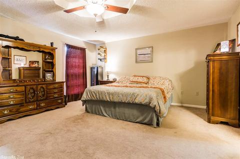 2911 Celia Dr, Conway, AR 72034 photo 19