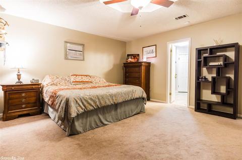 2911 Celia Dr, Conway, AR 72034 photo 20