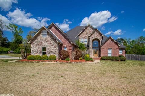 13695 Wilhelm Dr, Alexander, AR 72002 photo 1