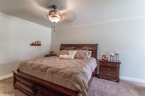 13695 Wilhelm Dr, Alexander, AR 72002 photo 34