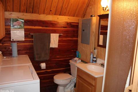 141 Loftis Creek Ln, Mena, AR 71953 photo 14