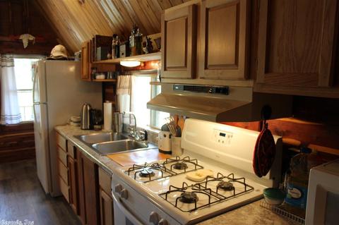 141 Loftis Creek Ln, Mena, AR 71953 photo 8