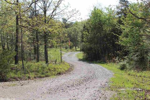 141 Loftis Creek Ln, Mena, AR 71953 photo 15