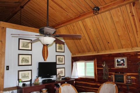 141 Loftis Creek Ln, Mena, AR 71953 photo 7