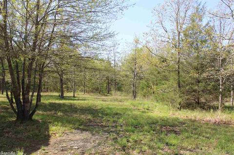 141 Loftis Creek Ln, Mena, AR 71953 photo 29