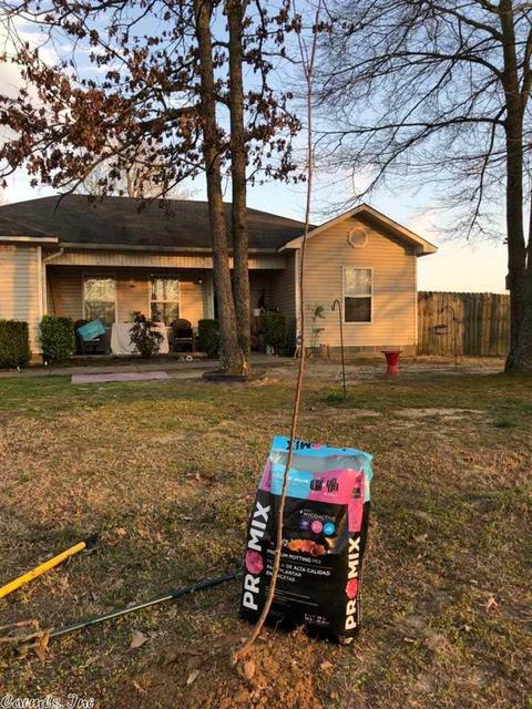 359 Peyton, Ward, AR 72176 photo 1