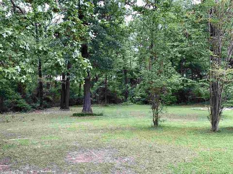 174 Dawn Dr, De Queen, AR 71832 photo 8