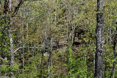 2687 Trace Ridge Rd, Leslie, AR 72645 photo 22