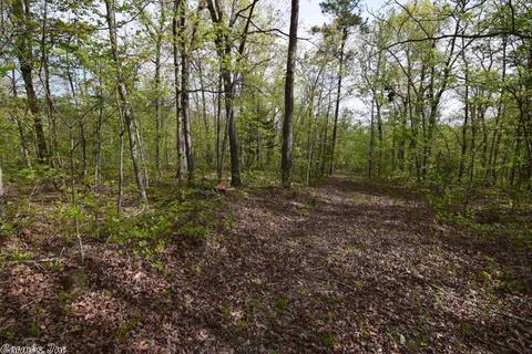 2687 Trace Ridge Rd, Leslie, AR 72645 photo 35