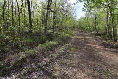 2687 Trace Ridge Rd, Leslie, AR 72645 photo 38